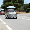 Montevago 2010 (413)